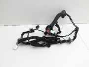 Dacia Duster II HM 18-21 Kabelbaum für Tür und Fensterheber Links Hinten