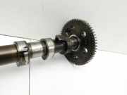 BMW X3 E83 LCI 06-10 3,0d 160KW M57D30O2 Nockenwelle Einlass