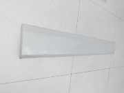 Renault Scenic III 09-12 Türleiste Rechts Vorne Aussen Beplankung