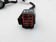 Ford C-Max II 10-15 Grand Kabelbaum Leitungssatz für Tür und Fensterheber Hinten Rechts