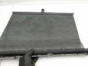 Renault Scenic III JZ 09-12 Sonnenschutzrollo Rollo für Tür Rechts Hinten