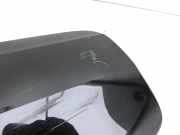 BMW G21 320dx 3er 19-22 Tankdeckel Tankklappe Abdeckung Schwarz