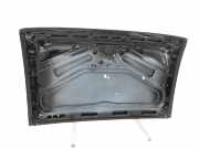 VW EOS 1F 06-09 Hardtop Verdeck Dach Mittelstück