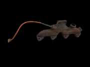 Nissan NV200 09-21 dCi 1,5 81KW K9K-400 Abgaskrümmer