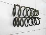 Hyundai Tucson IV NX4 20-24 Beide Feder Federn Hinten