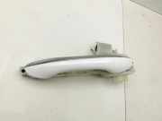 Hyundai Santa Fe IV TM 18-20 Türgriff Griff aussen Links Hinten