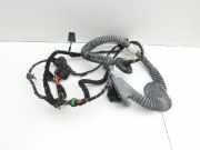Porsche Panamera 970 10-16 Kabelbaum f?r T?r und Fensterheber Links Hinten