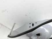 Dacia Duster II HM 18-21 Tür Rechts Hinten