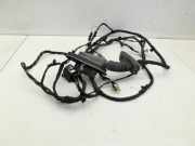 BMW F11 10-13 5er 525D Kombi Kabelbaum Tür und Fensterheber Links Vorne