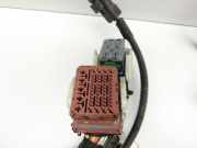 Citroen C3 Picasso 09-13 1,6 88KW Motorkabelbaum Motor Leitungssatz Kabelbaum