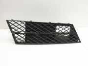 BMW E61 530xi LCI 07-09 Lufteinlassgitter Sto?stange Vorne Rechts