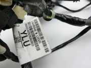 Opel Zafira C 11-16 Kabelbaum T?r und Fensterheber Links Vorne