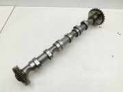 Audi A4 8K B8 07-11 TDI 2,7 140KW CGKA Nockenwelle Einlass Rechts 1-3