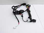 Hyundai I30 N PD 19-24 5T Kabelbaum für Tür und Fensterheber Links Hinten