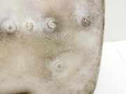 Toyota Prius W2 II 05-09 1,5 57KW Waschwasserbehälter Wasserbehälter Wischwasserbehälter