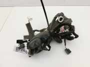 Renault Scenic III JZ 09-12 Kabelbaum für Tür und Fensterheber Rechts Vorne