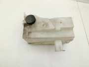 Renault Koleos I HY 4x4 07-11 16V 2,5 126KW Ausgleichsbehälter für Kühlmittel