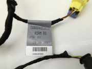 Audi A5 8T 07-12 Coupe Kabelbaum Tür und Fensterheber Links Vorne