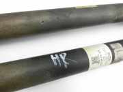 Mazda CX-3 DK 15-18 Stossdämpfer Beide Hinten