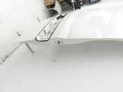 Fiat Doblo II 263 10-15 Kasten Tür Flügeltür Hecktür Links Hinten