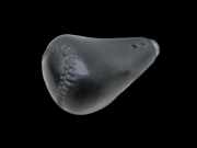 Hyundai Santa Fe I SM 00-04 V6 2,7 127KW Autom Schaltknauf für Schalthebel Gangschalter