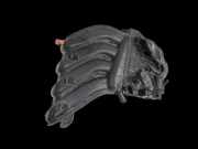 Dacia Duster 4x4 HS 10-18 1,6i 84KW H4M730 Ansaugbrücke Ansaugkrümmer