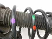 Ford C-Max II 10-15 Grand Federbein Stossdämpfer Vorne Links