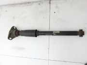 Audi A5 F5 16-19 5T Stossdämpfer Links Hinten