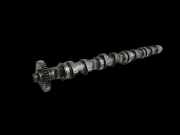 VW T5 7E 09-15 TDI 2,0 103KW CAAA Nockenwelle Auslass