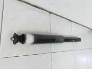 Renault Zoe BFM 12-19 Stossdämpfer Rechts Hinten