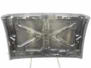 Ford Focus II CC 08-10 Hardtop