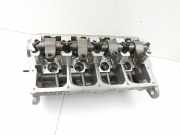 VW Touran 1T 03-06 TDI 1,9 77KW BLS Zylinderkopf