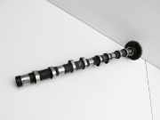 Mini R60 Countryman 10-16 2,0d 105KW N47C20U1 Nockenwelle Auslass