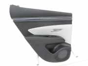 Hyundai Tucson IV NX4 20-23 Türverkleidung Türpappe Links Hinten