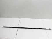 VW Passat B8 3G 14-19 Leiste Scheibendichtung für Tür Links Vorne