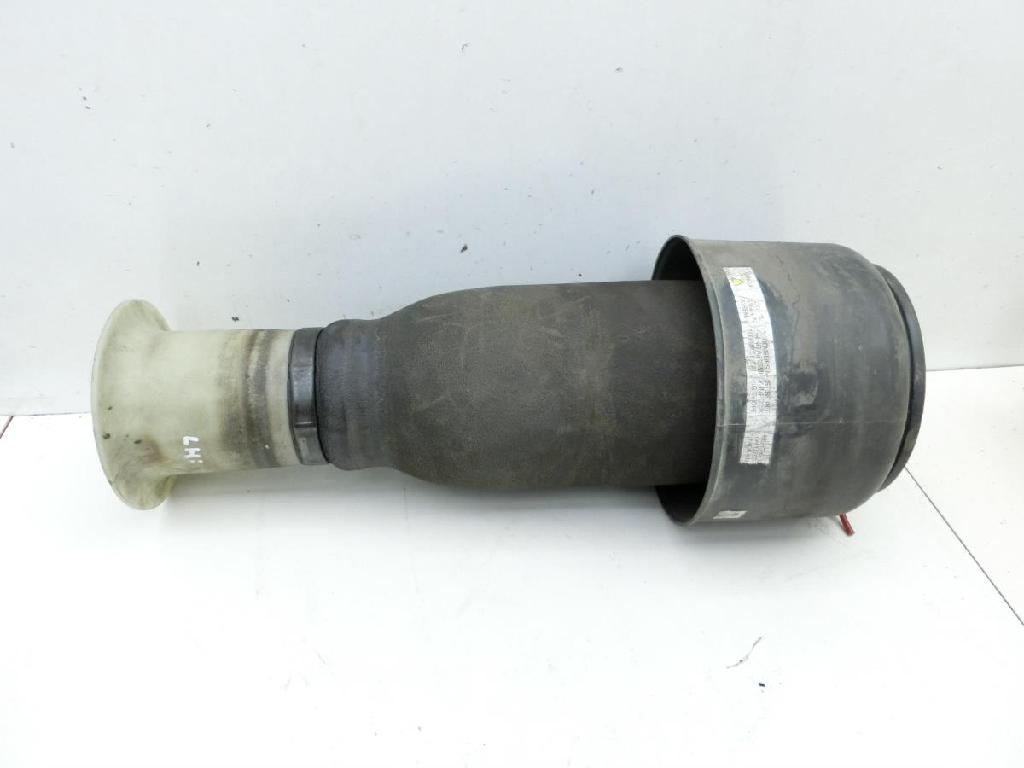 BMW F11 530d 10-13 Kombi Feder Federbalg Luftbalg Hinten Links