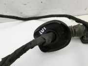 Audi Q5 8R 12-17 Kabelbaum Tür und Fensterheber Links Vorne