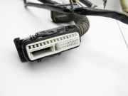 Nissan Juke F15 10-19 Kabelbaum f?r T?r und Fensterheber Rechts Vorne