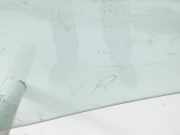 Jaguar XF X250 11-15 Kombi Seitenscheibe RVK T?rscheibe Rechts Vorne