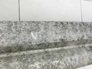 BMW X3 E83 18d LCI 08-11 Stoßstangenträger Stoßfängerträger Querträger Vorne