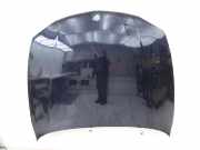 BMW E81 1er LCI 120i Motorhaube Frontklappe Haube