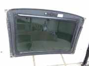 Audi A5 8T QU 07-12 Schiebedach