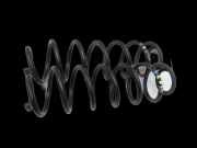 Opel Crossland X D75 20-24 Beide Feder Federn Hinten