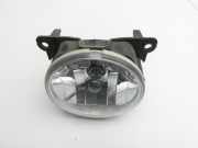 Citroen C3 Picasso 09-13 Nebelscheinwerfer Vorne Rechts