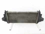 Mercedes W164 ML320 08-11 CDI 3,0 165KW Ladeluftkühler Kühler