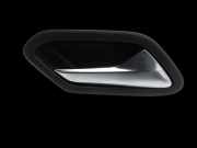 Dacia Duster II HM 18-21 Türgriff Griffmuschel Griff Innen Rechts Vorne