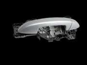 VW Passat 3C B7 10-15 Kombi Türgriff Griff aussen Rechts Hinten