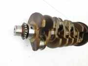 Audi A4 8E B7 04-08 2,0 96KW ALT Kurbelwelle