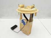 Citroen C3 II 09-13 eHDI 1.6 68KW Kraftstoffpumpe Kraftstoff F?rderpumpe Tankgeber