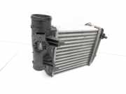 Audi A6 4F C6 05-08 TDI 3,0 165KW Ladeluftkühler Kühler Links